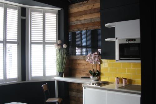 Salt Life Studio 2
