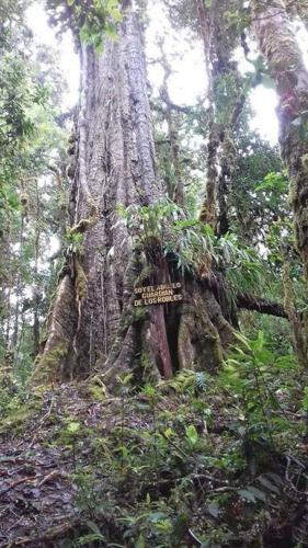 Cabaña de montaña La Hortensia Cerro de La Muerte De La Cañuela Cloudforest