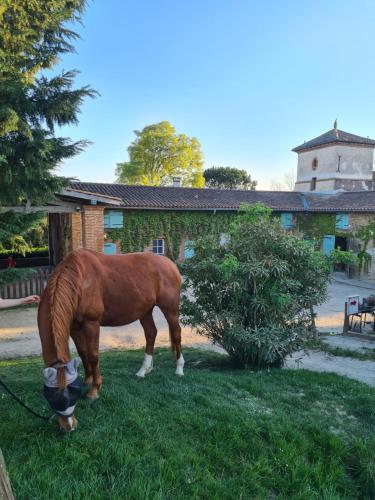 Gîte aux ecuries gîte à louer Caujac