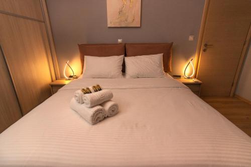 Luxury suite 10’ from the center, Athens