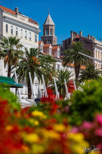 Luxury Apartment Spalato 2