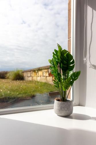 tuin, Shore View - Donnini Apartments in Prestwick