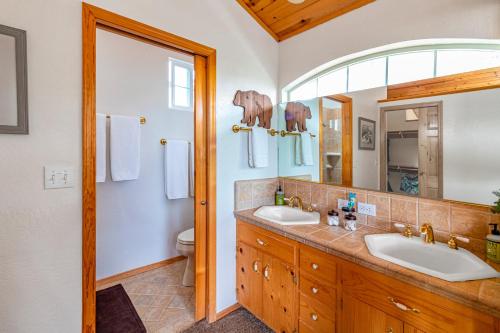 Brier Escape Brier Escape