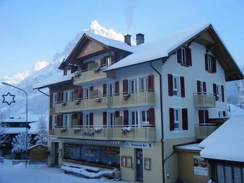 Hotel Des Alpes - image 10