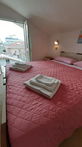 Hotel Elisabetta 2 stelle 2