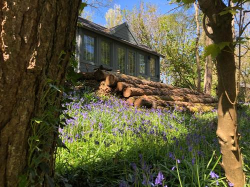 Beaconside Luxury Woodland Cabins gîte à louer Newton Saint Petrock