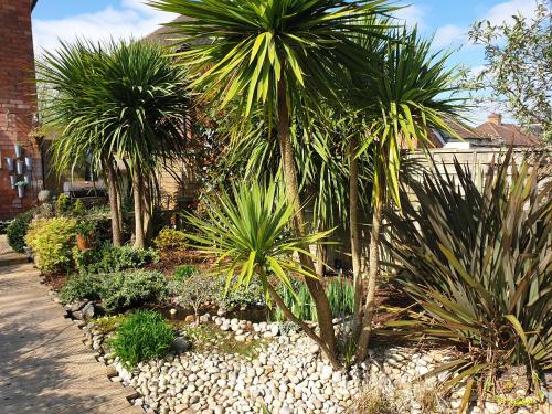 Tropical Garden Oasis Rooms, Birmingham (fotografie 10)