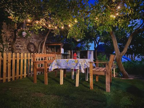  Casa Vacanze Gli Agrumi in Agropoli
