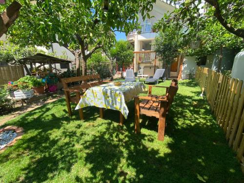 Casa Vacanze Gli Agrumi 3
