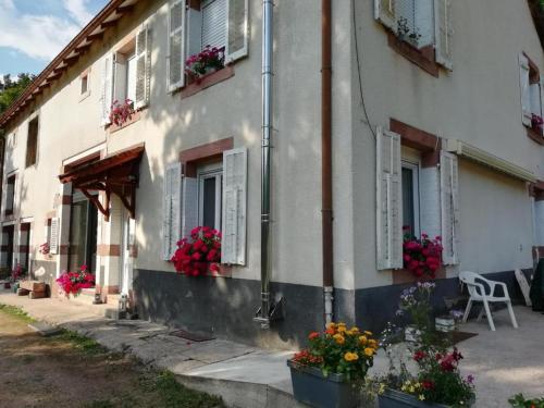 Le logis aux digitales in La Croix-aux-Mines