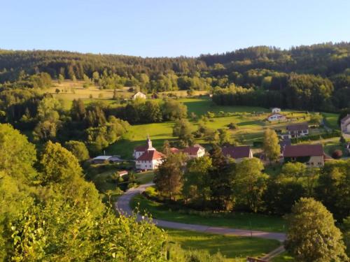 Le logis aux digitales in La Croix-aux-Mines