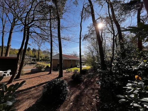 Сад, Fijne plek met eigen bos 2000m2 en GRATIS linnen en handdoeken!! in Денекамп