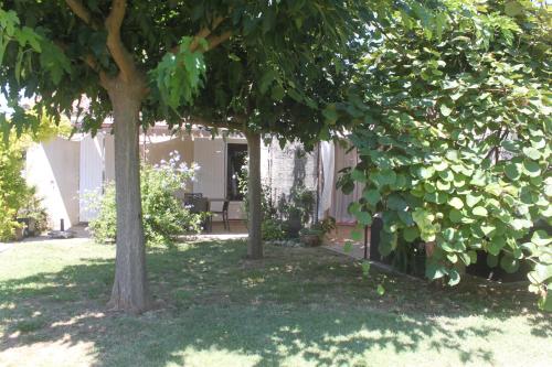 LS1-400 Jolie maison individuelle avec piscine privée – 8 personnes à Fontvieille dans les Alpilles gîte à louer Domaine du chêne vert