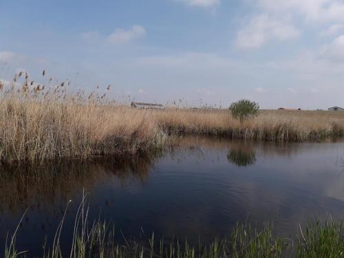 Casa Chitu - image 8