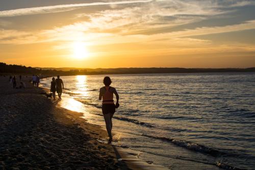 Stylowy apartament w historycznej części Gdańska (Stylowy apartament w historycznej czesci Gdanska) in Przerobka