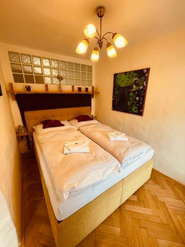 Standard Room with River View room in Penzion Kapr