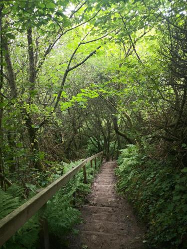 Hostel Idrætscenter Jammerbugt - image 2