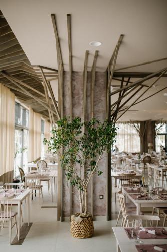 Restaurant, Hotel Buna Mostar in Blagaj