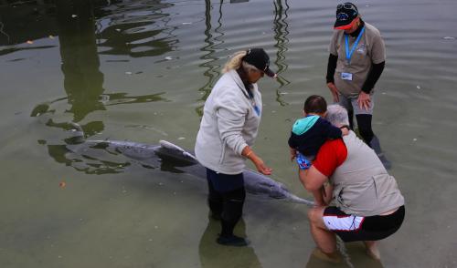 Tin Can Bay Tourist Park
