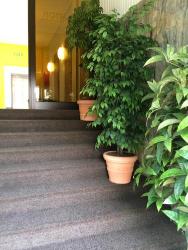 Hotel Arcobaleno - image 10