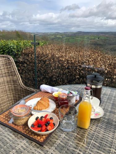 Down The Garden Path Vintage Caravan B&B , Dartmoor - Shillingford Abbot
