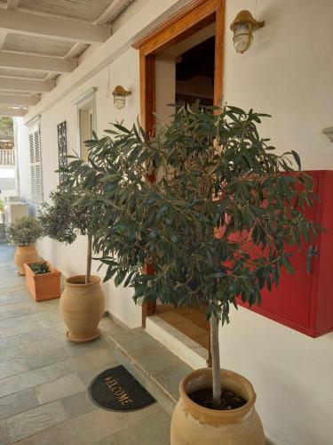 Athina Guesthouse