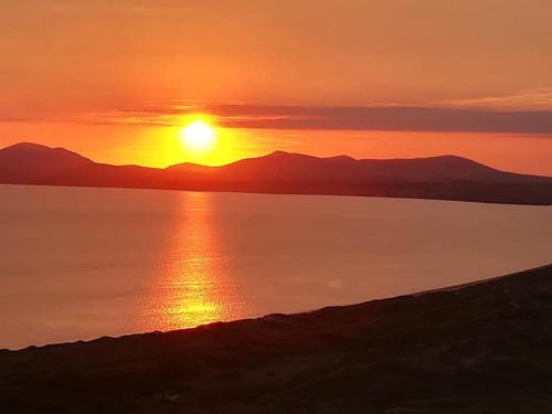 Cadwgan House Hotel - image 9