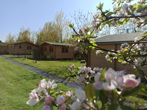 Gîtes entre mer et campagne, 3km de Berck les chalets du Fliers