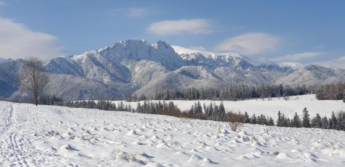Apartament na brzyzku, Zakopane (zdjęcie 4)