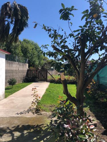  Lolos Apartament in 36940 Cangas de Morrazo
