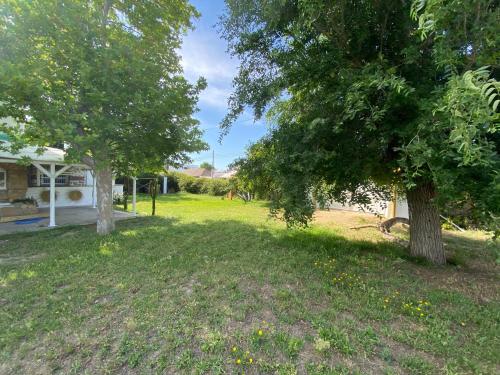  ALMA ZAHORA in 11160 Barbate