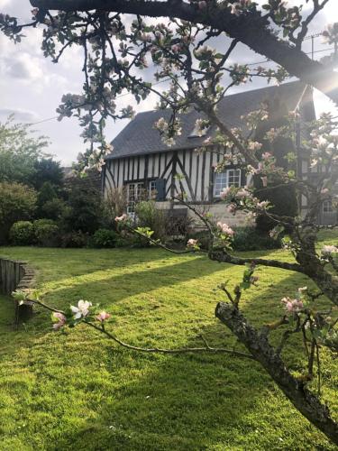 Gîte 'les matins calmes ' - Location saisonnière - Livarot-Pays-d'Auge