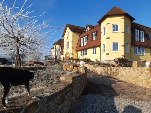 ทัศนียภาพภายนอกโรงแรม, Privatweingut Schmidt in ไฮเทอร์ไชม์