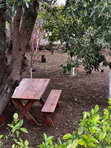 Two Olive Trees, Spetses (foto 6)