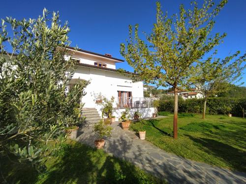  B&B Villa la Bouganville in Capezzano Pianore,