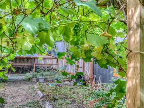 Hearthstone Retreat - Meredith Lodging