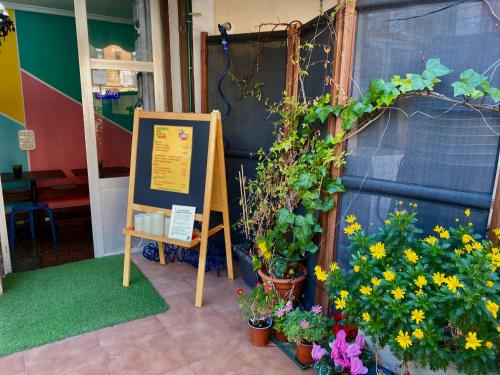 Barbieri Sol Hostel - image 5