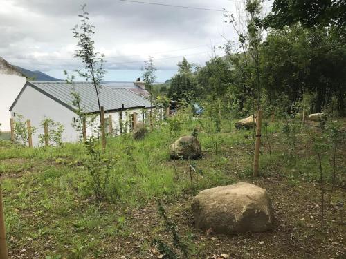 An Bothán-Cosy Cottage in the Cooley Mountains