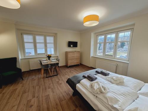 Pokoje CMK - Apartment - Karpacz - Kopa