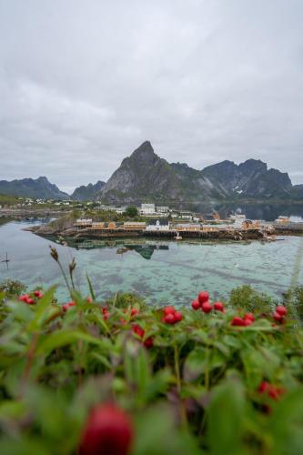 Sakrisøy Rorbuer - image 4