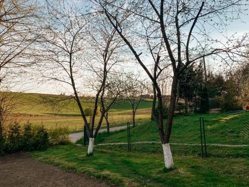 Сад, Przestronny Dom Wakacyjny na Kaszubach - Przodkowo in Пшодково