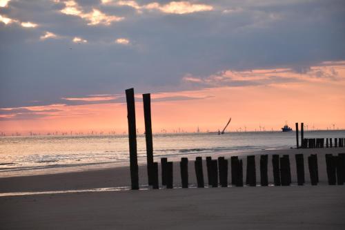 Woeste Hoeve 112 in 比赫凱爾克