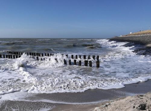 Woeste Hoeve 112 in 比赫凱爾克