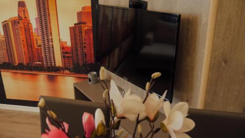 Newly renovated apartment, Tirana (photo 9)