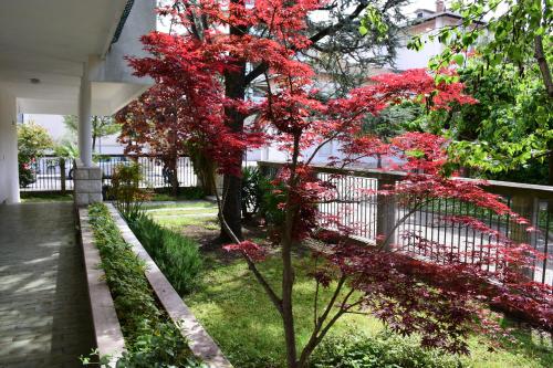 Apartment - Ground Floor image 2