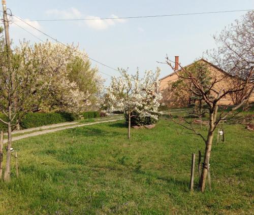 Panoráma Pihenőház (Panorama Pihenohaz) in Balatonalmadi