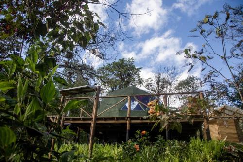 Jardín, Yátaro Refugio Glamping (Yataro Refugio Glamping) in La Vega