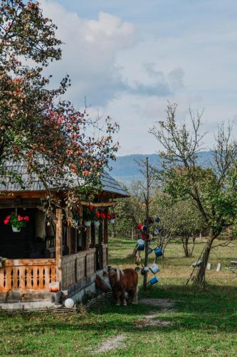 Căsuța din Gradina - main image