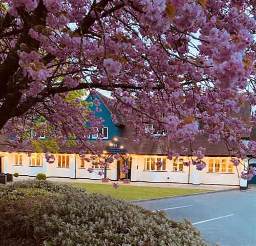 Hockley House - Hotel - Hockley Heath