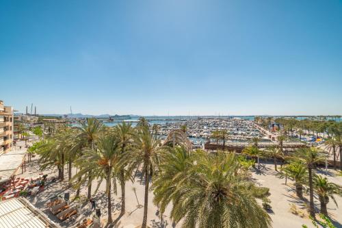 Record Maritim II - image 5